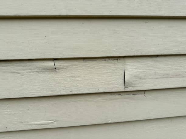 Best Weatherproofing and Sealing  in San Marino, CA